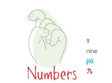 chinese number 9